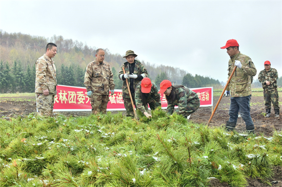2.实践假植技术.jpg