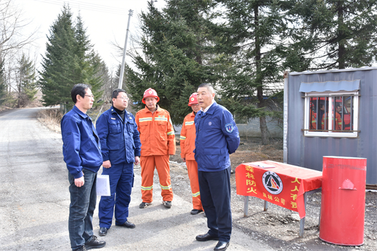 筑牢防火屏障  严守安全底线泉林公司开展清明节前森林防灭火及安全生产督导检查（5）.jpg