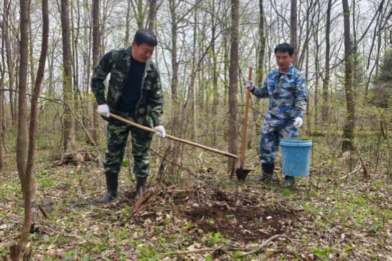 营林处：党旗引领添新绿 植树造林践初心（2）.jpg