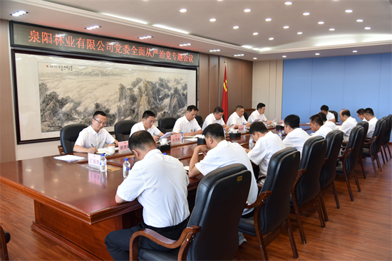 泉林公司党委召开2025年全面从严治党专题会议（2）.jpg