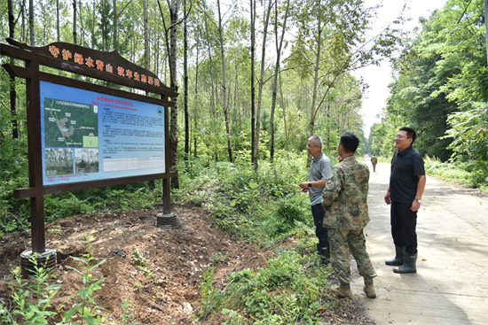 吉林省林业科学研究院专家组赴泉林公司调研森林可持续经营试点实施情况（3）.jpg