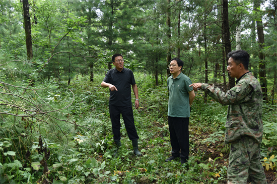 吉林省林业科学研究院专家组赴泉林公司调研森林可持续经营试点实施情况（2）.jpg