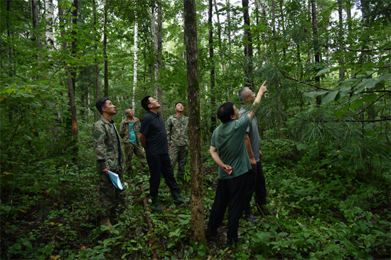 吉林省林业科学研究院专家组赴泉林公司调研森林可持续经营试点实施情况（1）.jpg
