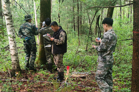 攻坚克难践初心 数据赋能护林海 泉林公司圆满完成森林可持续经营试点成效监测调查复测任务（2）.jpg