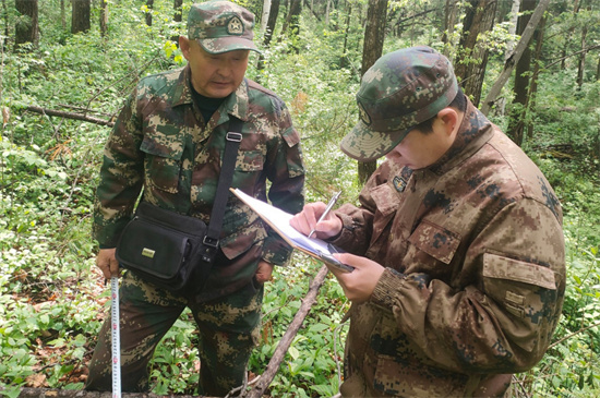 攻坚克难践初心 数据赋能护林海 泉林公司圆满完成森林可持续经营试点成效监测调查复测任务（3）.jpg