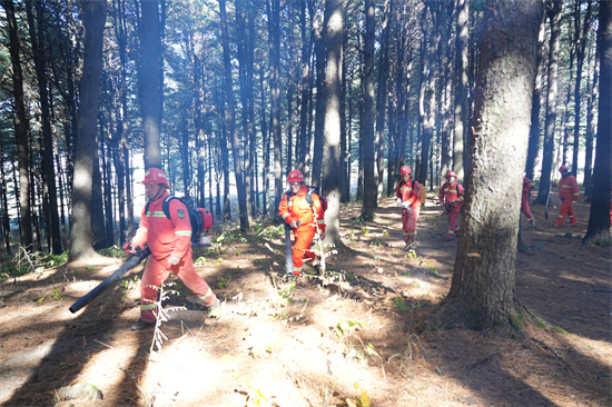 1761809374620295.jpg 兴参林场开展实战化森林灭火演练(4).jpg