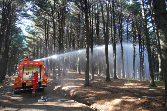 1761809380315292.jpg 兴参林场开展实战化森林灭火演练(3).jpg