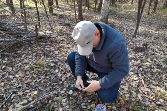 1763947256186557.jpg 泉林公司全面开展越冬前鼠害专项调查工作(1).jpg