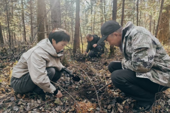 1763962993856081.jpg 泉林公司全面开展越冬前虫情调查工作(1).jpg