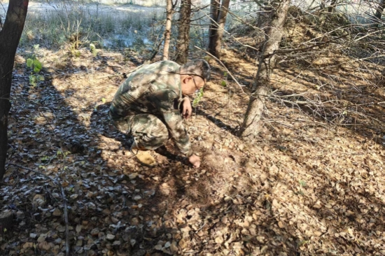 1763963000679422.jpg 泉林公司全面开展越冬前虫情调查工作(2).jpg