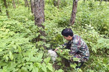 Image_1785219891079_666_副本.jpg